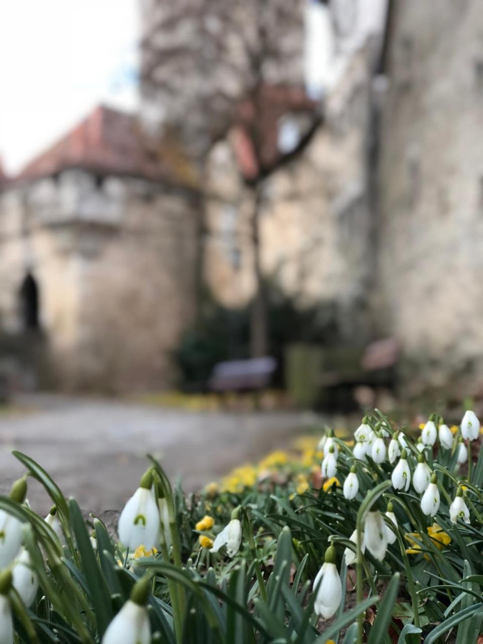 Gaestehaus Eberlein Rothenburg ob der Tauber Exterior photo